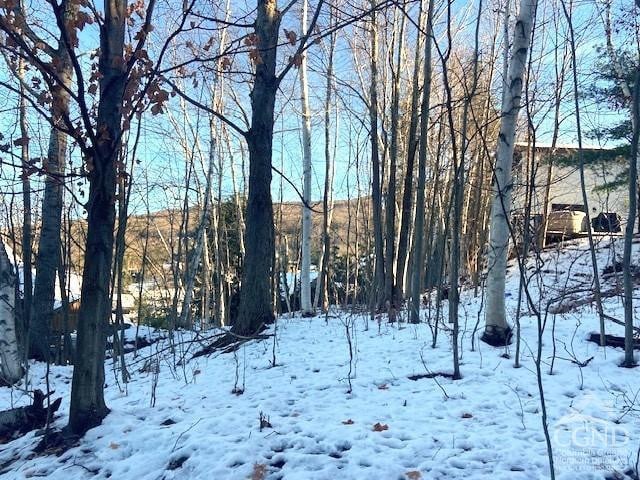 0 Winter Close Ct, Windham, NY 12496