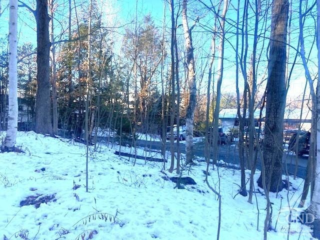 0 Winter Close Ct, Windham, NY 12496