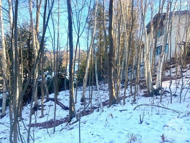 0 Winter Close Ct, Windham, NY 12496