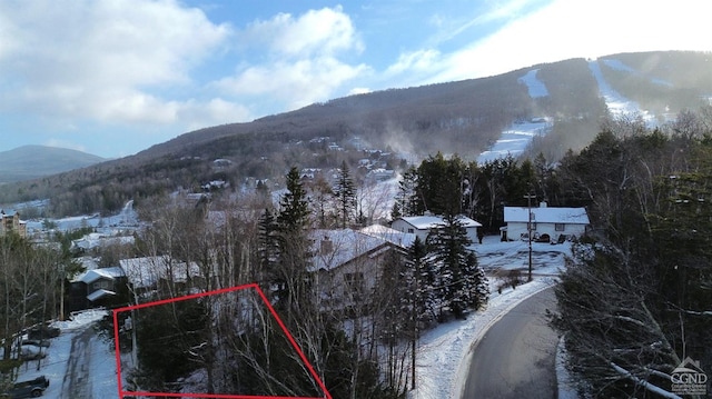 0 Winter Close Ct, Windham, NY 12496