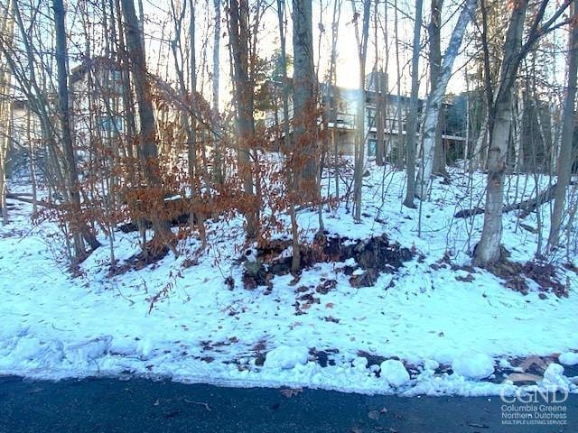 0 Winter Close Ct, Windham, NY 12496
