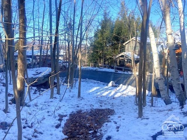 0 Winter Close Ct, Windham, NY 12496
