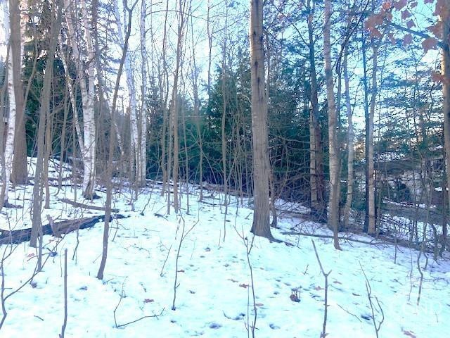 0 Winter Close Ct, Windham, NY 12496