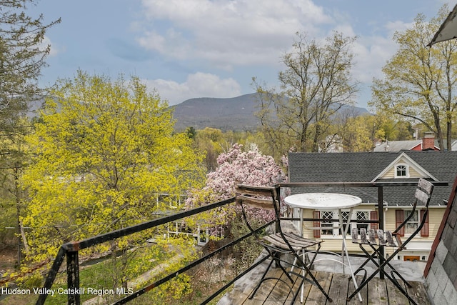 12 Tinker St, Woodstock, NY 12498 - photo 23