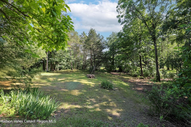 17-21 Cedar Dr, Lake Katrine, NY 12449 - photo 25