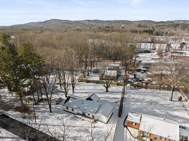 36 Perrines Bridge Rd, Rosendale, NY 12486 - snowy aerial view with a mountain view