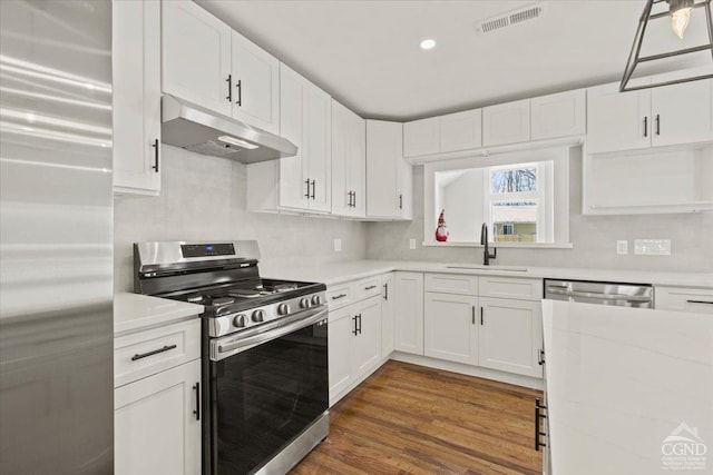 36 Perrines Bridge Rd, Rosendale, NY 12486 - kitchen featuring appliances with stainless steel finishes, under cabinet range hood, a sink, white cabinetry, and recessed lighting
