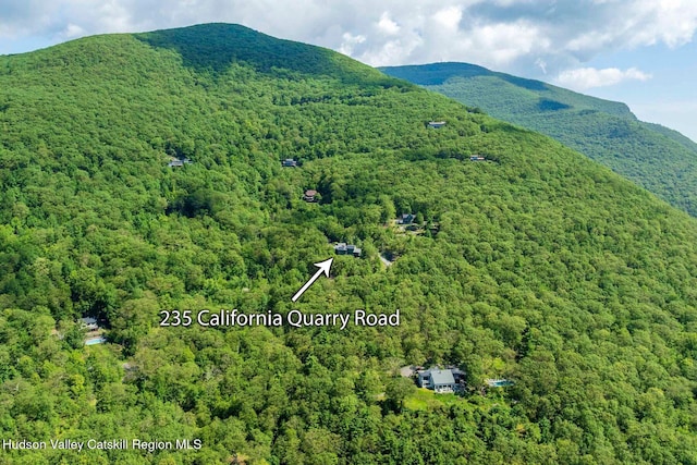 235 California Quarry Rd, Woodstock, NY 12498 - photo 5