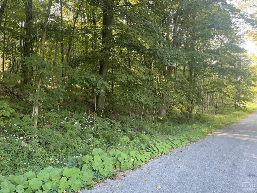0 Churchill Rd, New Lebanon, NY 12125 - photo 4