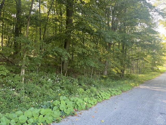 0 Churchill Rd, New Lebanon, NY 12125 - photo 4