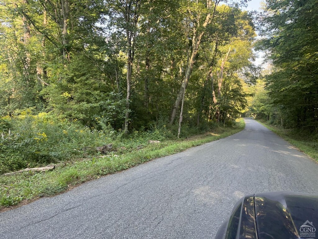 0 Churchill Rd, New Lebanon, NY 12125 - photo 3