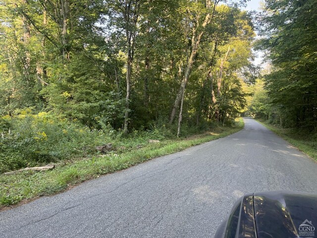 0 Churchill Rd, New Lebanon, NY 12125 - photo 3