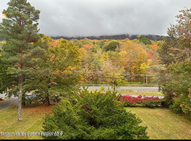 11 Highlands Rd, Highmount, NY 12441 - photo 25