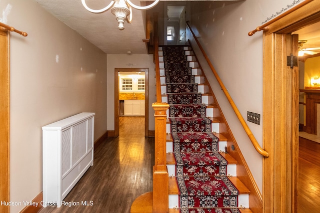 stairs with hardwood / wood-style flooring