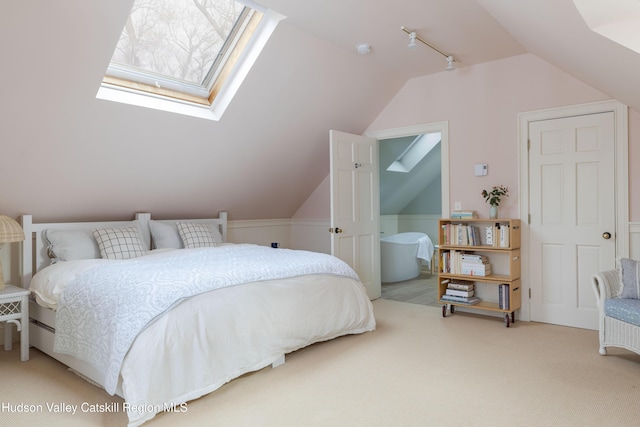 196 Wellington Ln, Cooperstown, NY 13326 - bedroom with lofted ceiling, a skylight, rail lighting, and light colored carpet