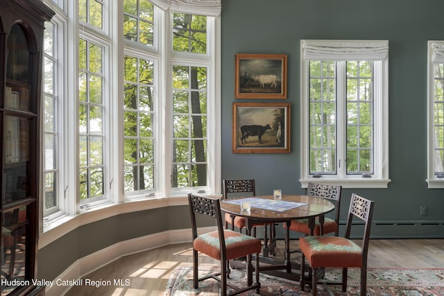 196 Wellington Ln, Cooperstown, NY 13326 - dining room featuring baseboard heating, plenty of natural light, and wood finished floors