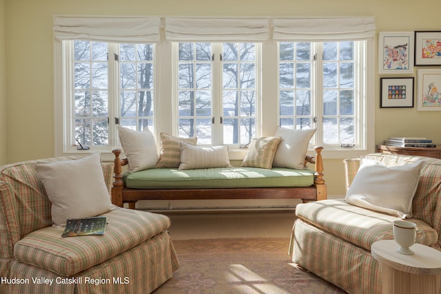 196 Wellington Ln, Cooperstown, NY 13326 - view of sitting room