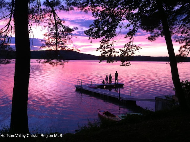196 Wellington Ln, Cooperstown, NY 13326 - dock with a water view