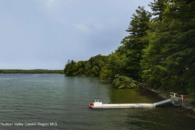 196 Wellington Ln, Cooperstown, NY 13326 - water view featuring a floating dock and a forest