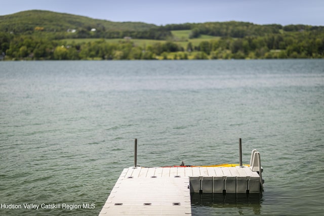 196 Wellington Ln, Cooperstown, NY 13326 - dock area featuring a water view
