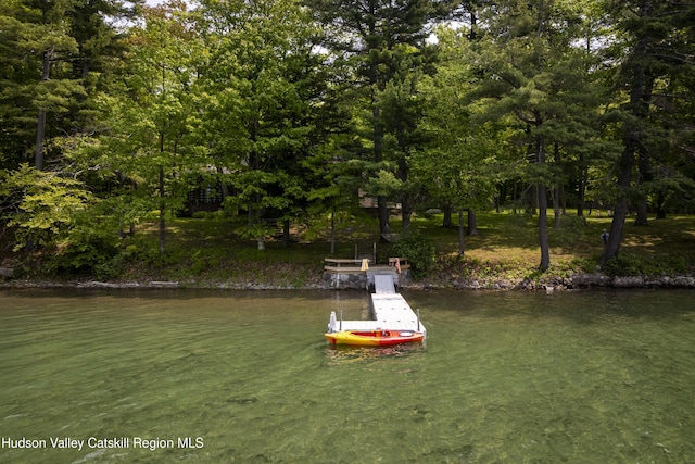 196 Wellington Ln, Cooperstown, NY 13326 - dock with a water view
