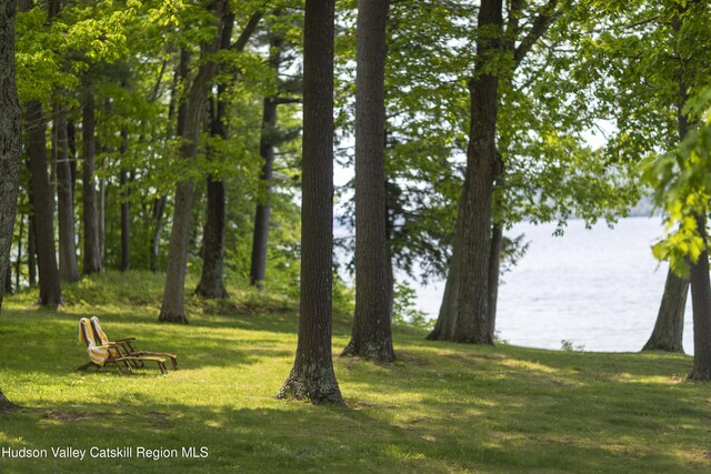 196 Wellington Ln, Cooperstown, NY 13326 - view of grassy yard featuring a water view