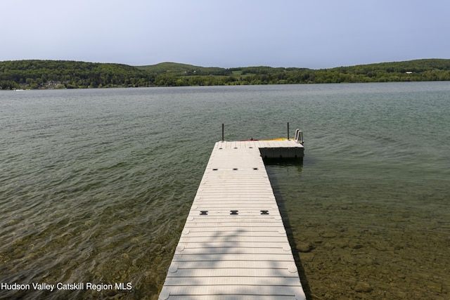 196 Wellington Ln, Cooperstown, NY 13326 - dock featuring a water view and a view of trees