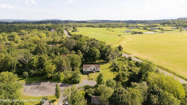 72 Van Brunt Dr, Athens, NY 12015 - photo 25