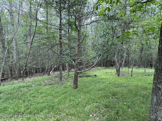 506 Rivka Rd, Saugerties, NY 12477