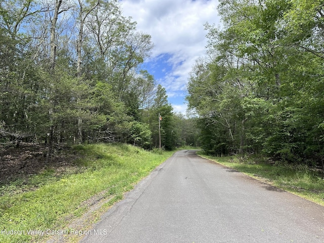 506 Rivka Rd, Saugerties, NY 12477