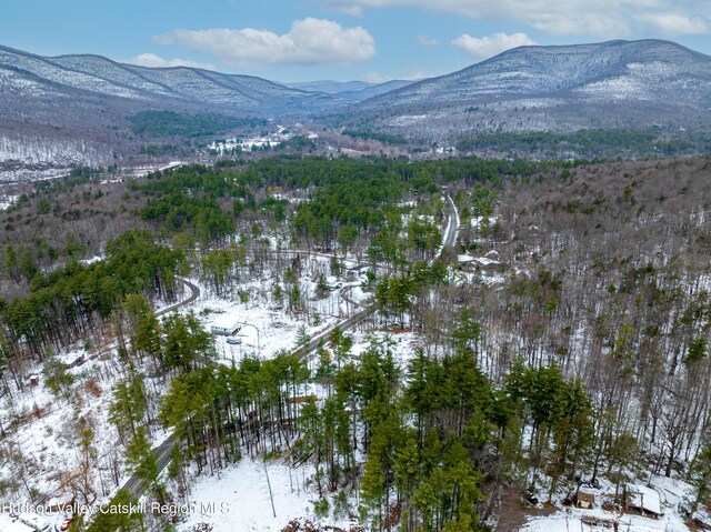 view of mountain feature