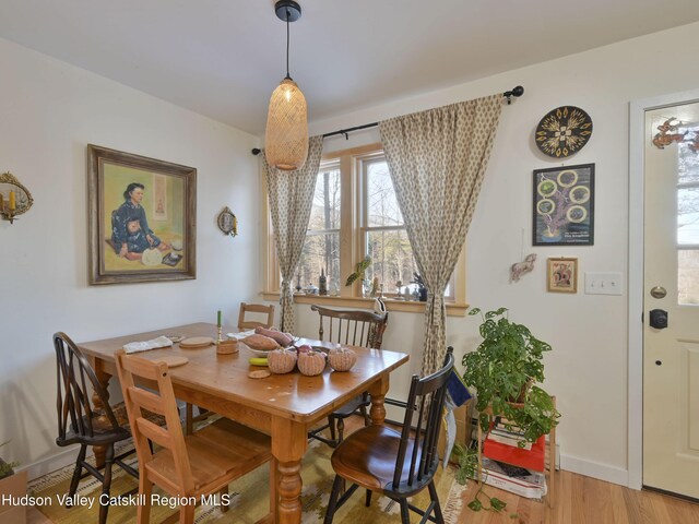 dining room featuring wood-type flooring