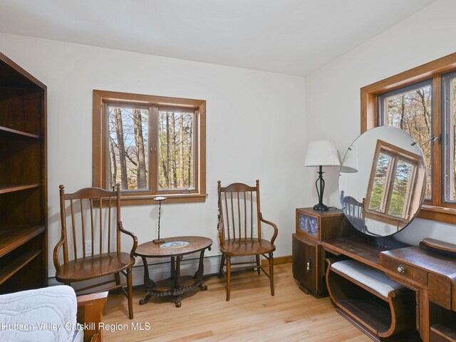 living area with plenty of natural light and light hardwood / wood-style floors