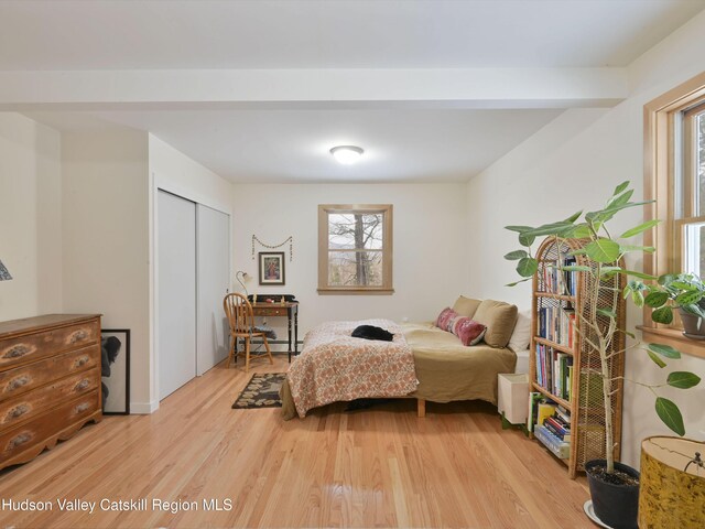 bedroom featuring a closet, light hardwood / wood-style flooring, a baseboard heating unit, and multiple windows