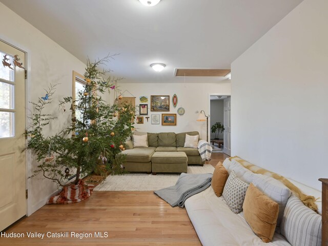 living room with wood-type flooring