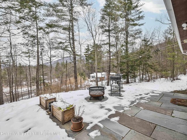 view of yard covered in snow