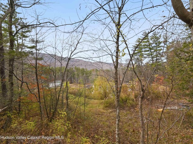 view of nature featuring a mountain view