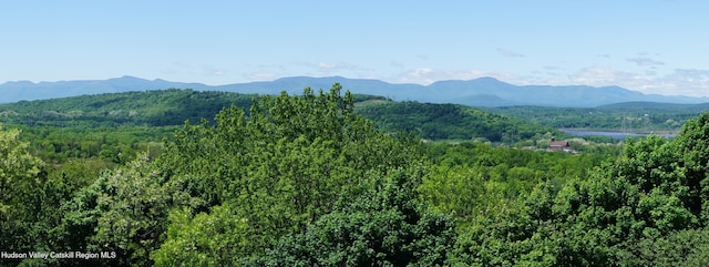 5 Van Winkle Rd, Hudson, NY 12534 - photo 15