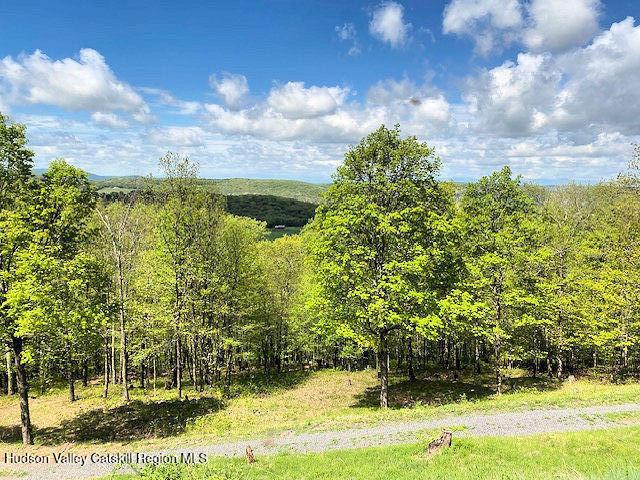 115 Witts Ln, Ancramdale, NY 12503 - photo 33
