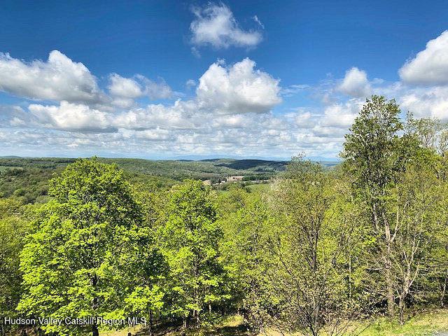115 Witts Ln, Ancramdale, NY 12503 - photo 32