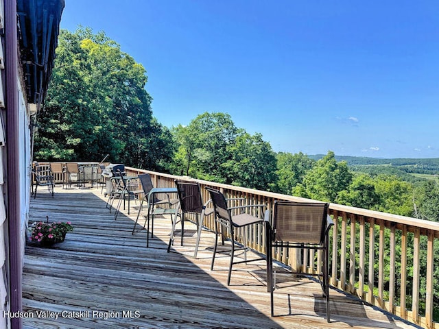 115 Witts Ln, Ancramdale, NY 12503 - photo 7