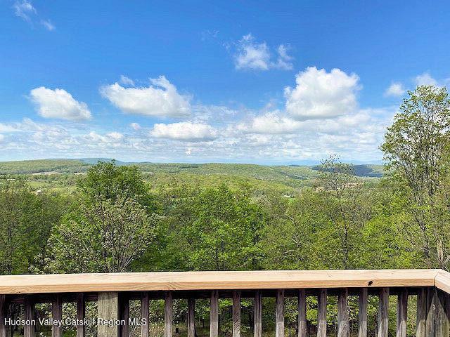 115 Witts Ln, Ancramdale, NY 12503 - photo 9