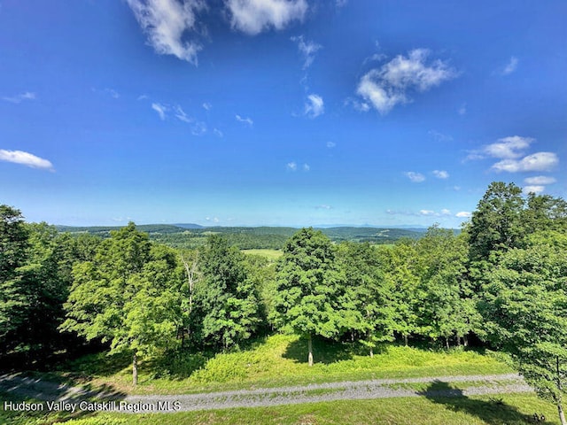 115 Witts Ln, Ancramdale, NY 12503 - photo 12