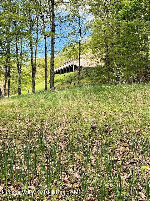 115 Witts Ln, Ancramdale, NY 12503 - photo 31