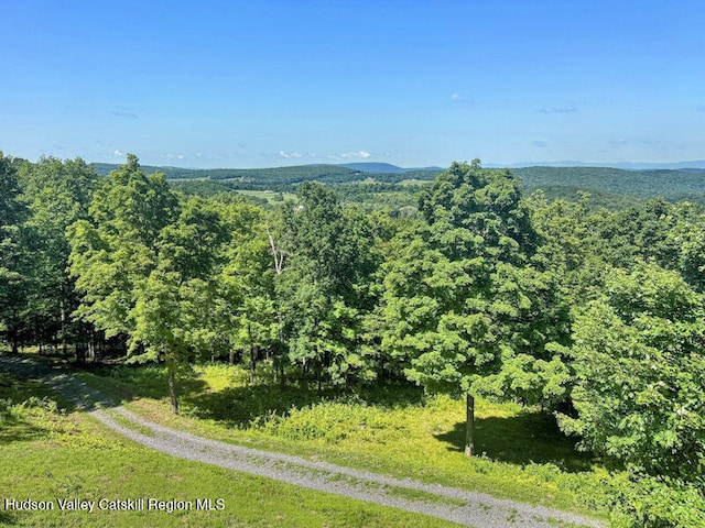 115 Witts Ln, Ancramdale, NY 12503 - photo 13