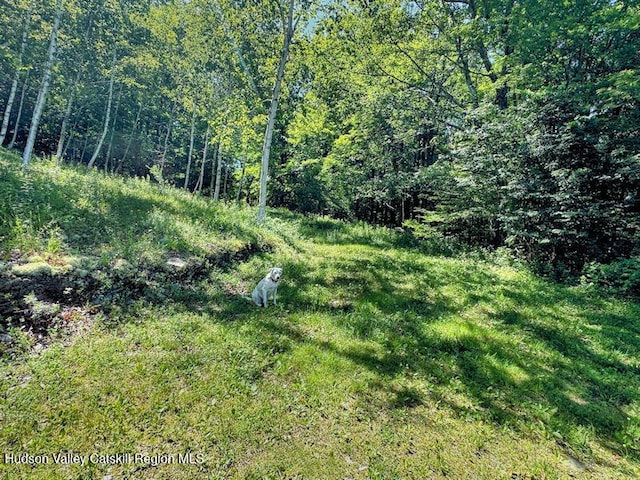 115 Witts Ln, Ancramdale, NY 12503 - photo 30