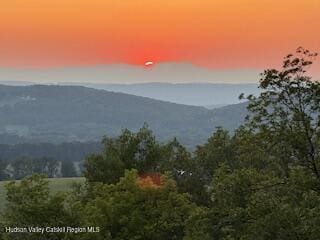 115 Witts Ln, Ancramdale, NY 12503 - photo 5