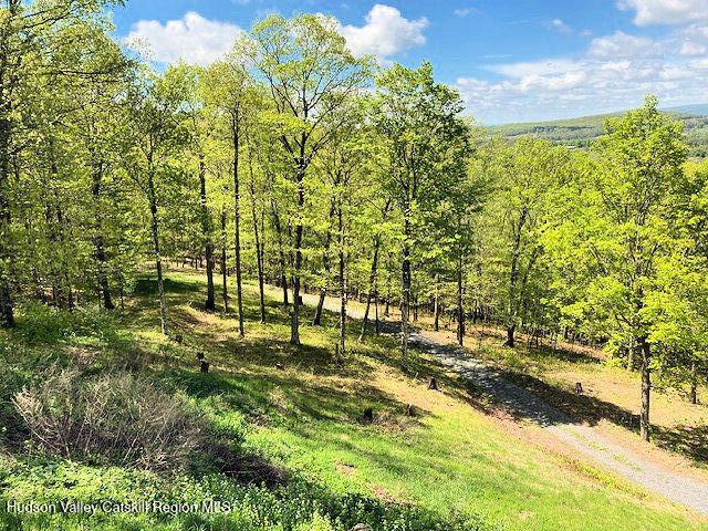 115 Witts Ln, Ancramdale, NY 12503 - photo 14