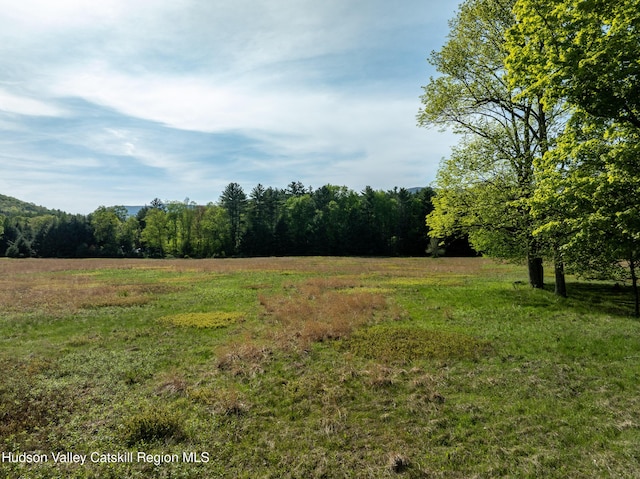 11 Louie Way, Woodstock, NY 12498 - view of yard with a wooded view and a view of countryside