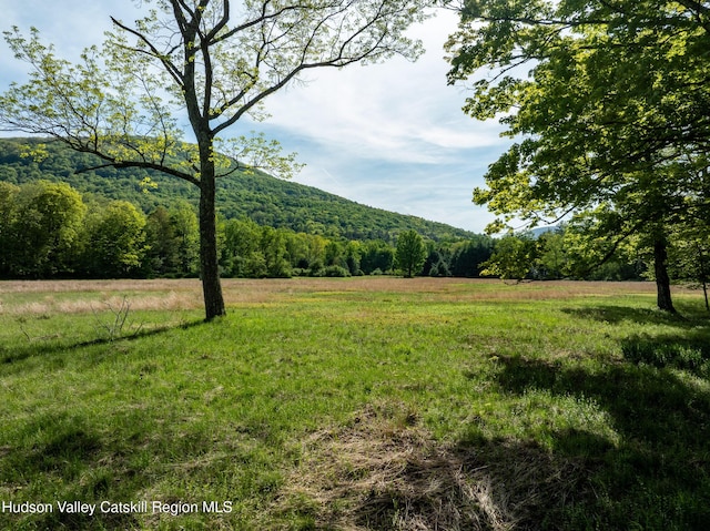 11 Louie Way, Woodstock, NY 12498 - view of yard with a forest view, a view of countryside, and a mountain view